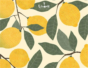 Limone logo
