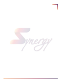OOO SYNERGY logo